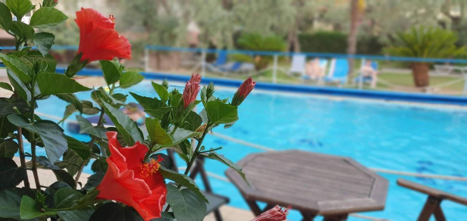 Tsigoura Verde Resort Mikros Prinos المظهر الخارجي الصورة
